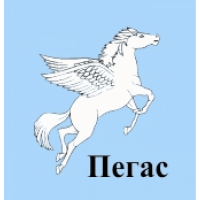 Дизайнерский дом Пегас